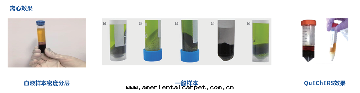 图片(piàn) 图片(piàn)