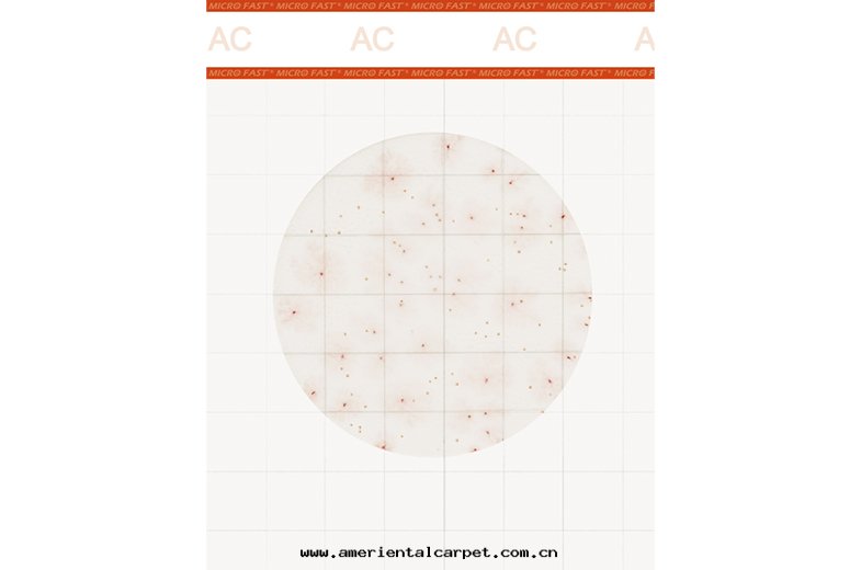 Premium系(xì)列菌落(là)總(zǒng)數測试片(piàn)