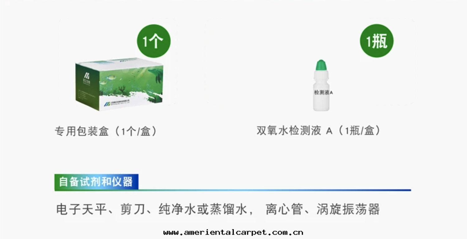 截屏2023-12-28 14.09.40.png