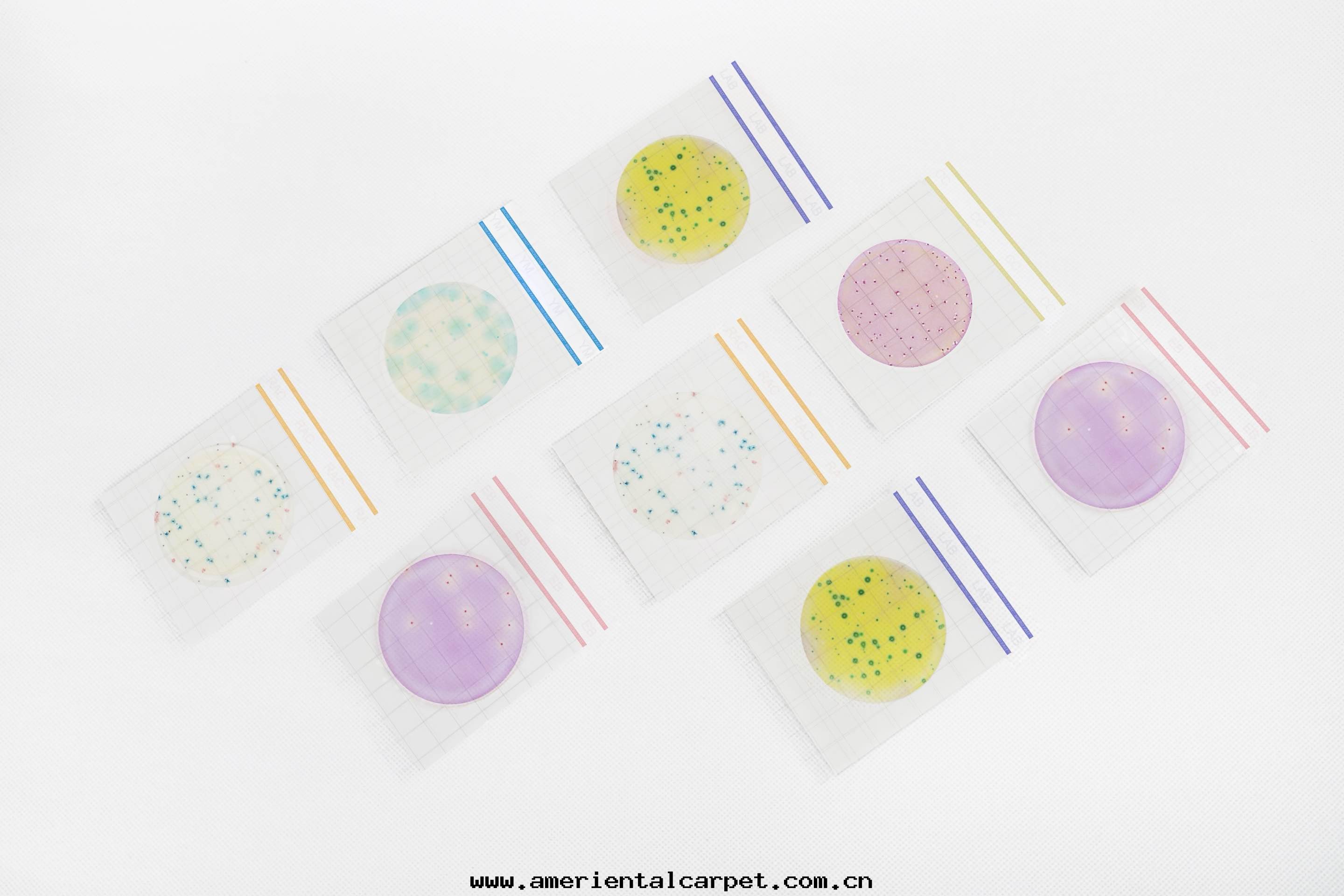 Premium系(xì)列測试片(piàn)正(zhèng)式發(fà)布(bù)，为(wèi)美(měi)正(zhèng)全(quán)球食品安全(quán)檢測领域再添利器