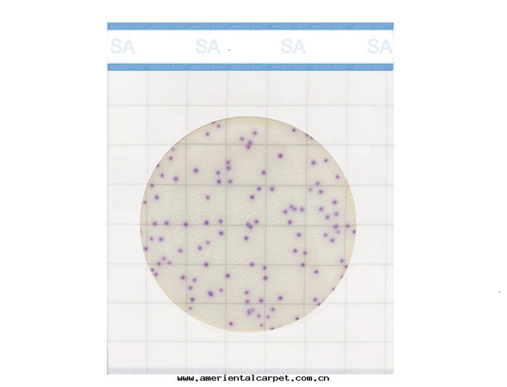 Premium系(xì)列金(jīn)黃色(sè)葡萄球菌測试片(piàn)