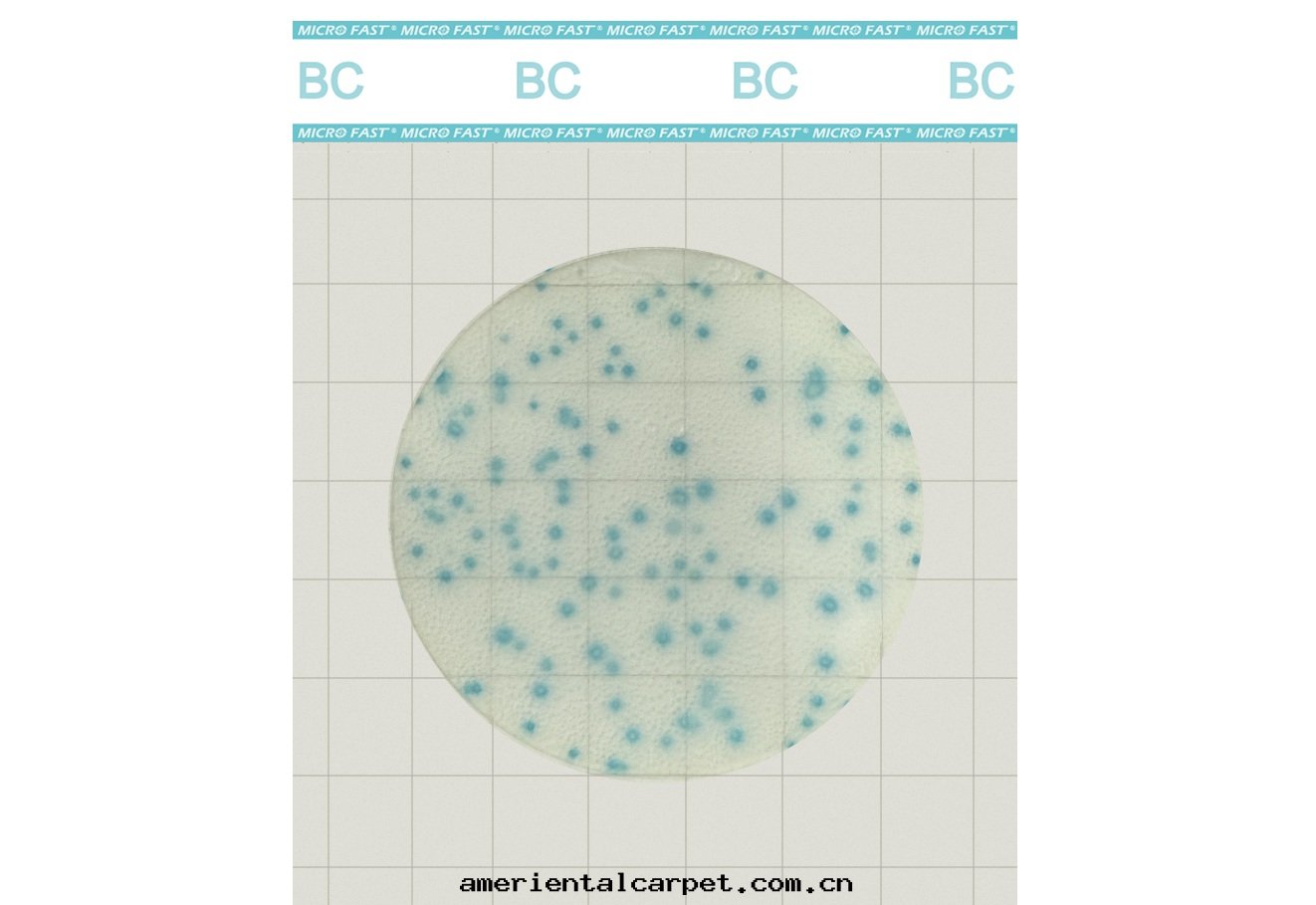 MicroFast® Premium 蜡(là)样芽(yá)胞杆菌測试片(piàn)